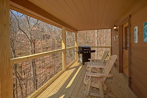 Smoky Mountain Cabin with Propane Grill - A Beary Special Place