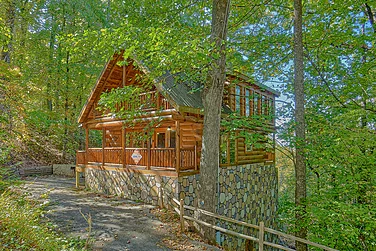 Bear Envy Cabin Rental Photo