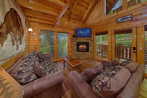 Rustic 2 bedroom cabin with fireplace - Bear Envy