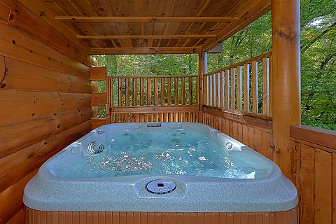 Cozy cabin rental with 2 bedrooms and hot tub - Bear Envy