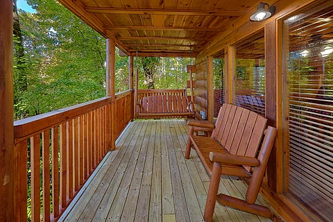 Rental cabin with wooded views and hot tub - Bear Envy