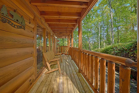 Sky Harbor cabin rental with wooded views - Bear Envy