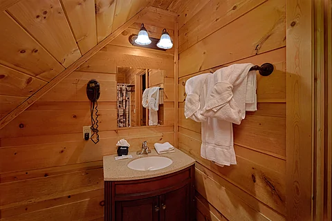 Mountain Cabin with 4 bedrooms and private baths - Bears and Honey