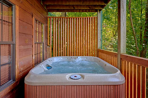 4 bedroom cabin with hot tub and wooded views - Bears and Honey