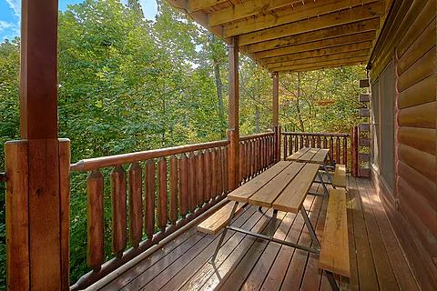 4 bedroom cabin with picnic table and hot tub - Bears Repeating
