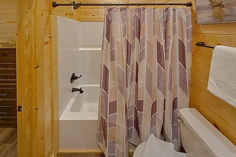 Cabin master bathroom with bath tub and shower - Brooks Haven
