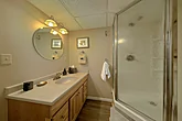 Lower Level Full Bathroom with Walk-in Shower