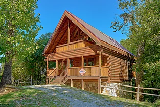 City Bear in Sevierville, photo from Cabins USA