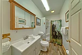 Cove Mountain Resort rental with 3 bathrooms