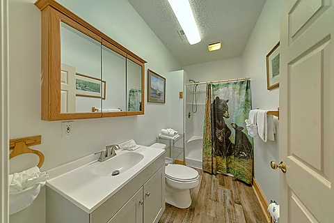 Cove Mountain Resort rental with 3 bathrooms - Cove Mountain Lodge
