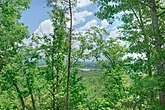 Smoky Mountain Cabin Overlooking Pigeon Forge