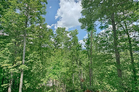 One Bedroom Cabin in Pigeon Forge with City View - Enchanted Evenings