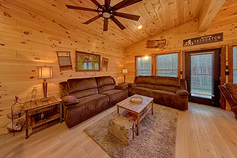 2 Bedroom Cabin Cozy Living Room - Firefly Ridge