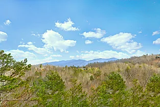 Featured Property Photo