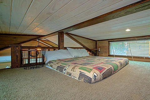 Tiny Home with Loft and Queen Bed - Hillbilly Bear