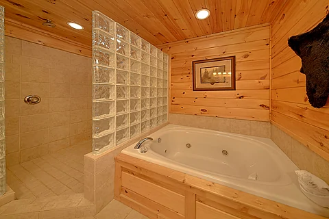 Master Bathroom with Jacuzzi Tub - Lookout Lodge