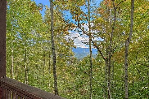 Wears Valley Mountain Views - Moonlight Magic