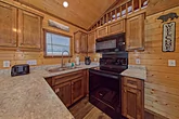1 bedroom cabin rental with 2 King Beds