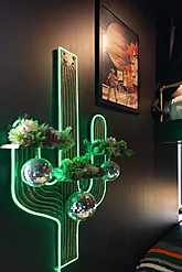 Western theme 4 bedroom Nashville vacation home