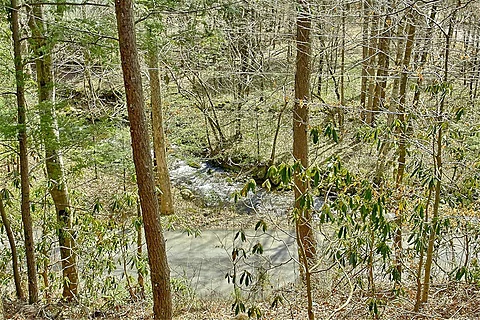 Nearby Creek - Webb Creek Hideaway