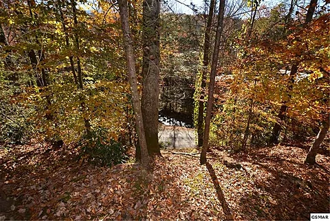 Fall View - Webb Creek Hideaway
