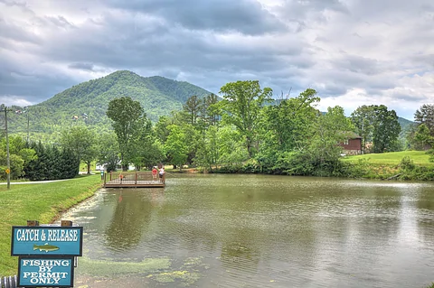 Wears Valley 1 bedroom cabin with fish pond - Wild Mountain Laurel